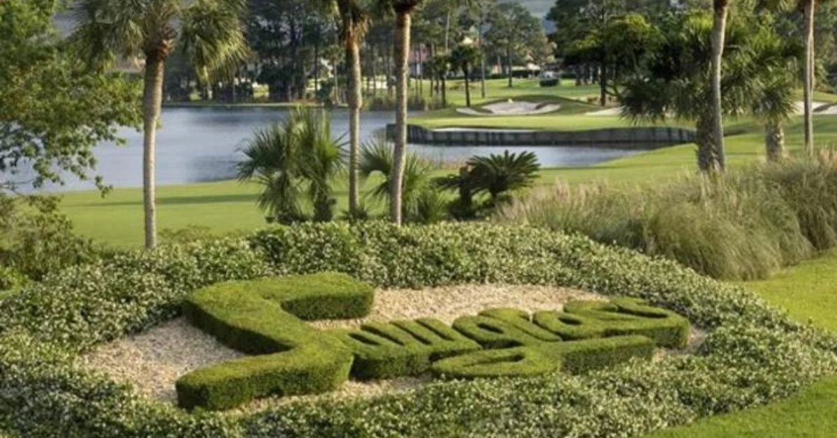 Neighborhood Spotlight Sawgrass Country Club